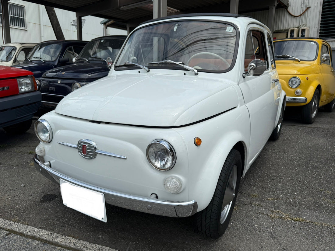 1971年FIAT500R白が下取りで入荷しました。